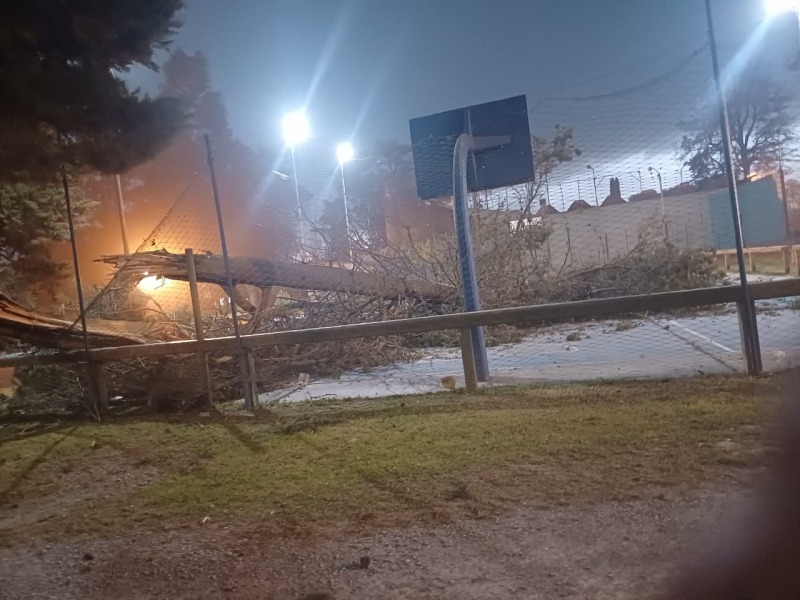 El temporal caus destrozos en distintos sectores de la ciudad y la zona: hubo rfagas de casi 90 km/h